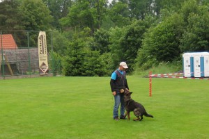img_9215.jpg
